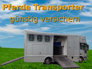 Vergleich Pferdetransporter Pferde Lkw Versicherung Die Illtal Makler Illingen Immobilien Versicherungen Finanzen